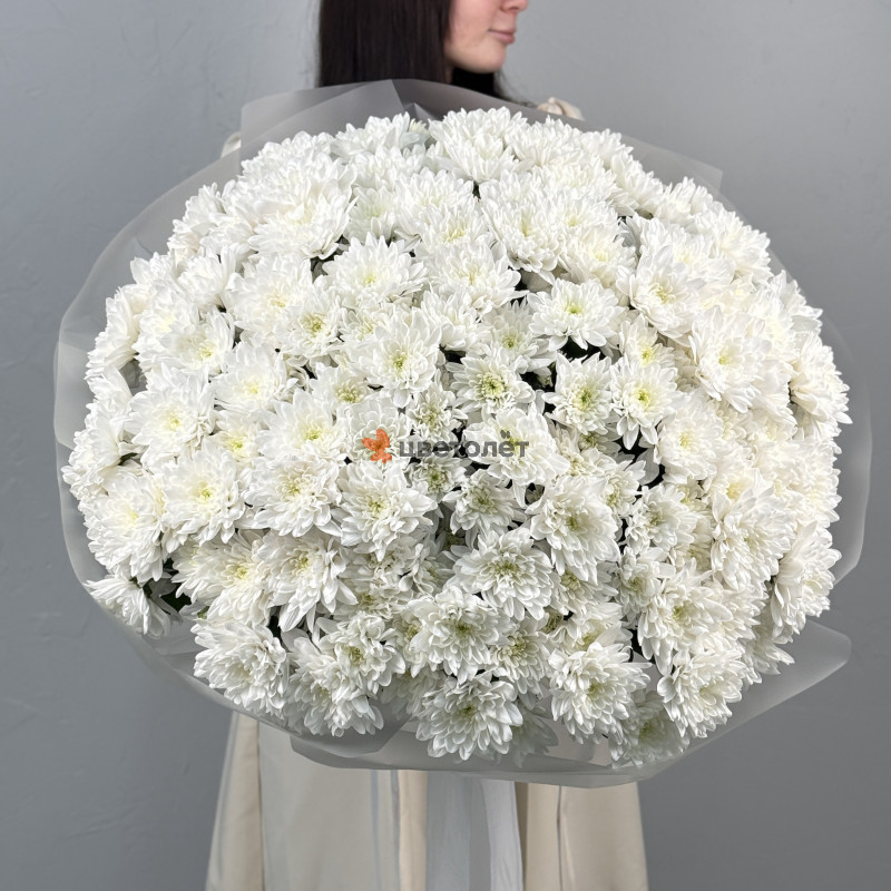 Большое облако из хризантем