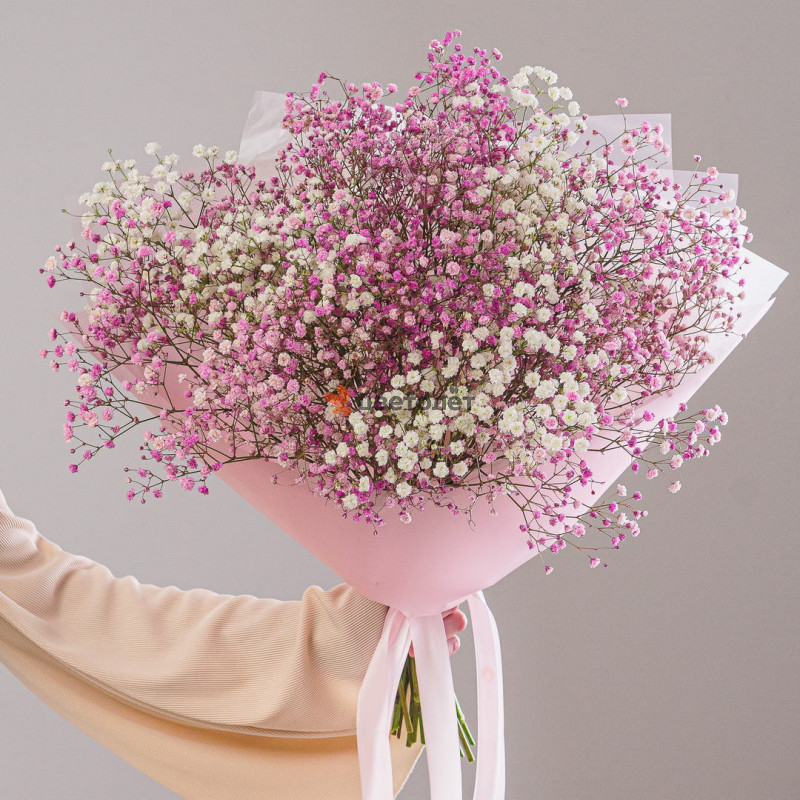 Букет из 11 гипсофил белые+розовые