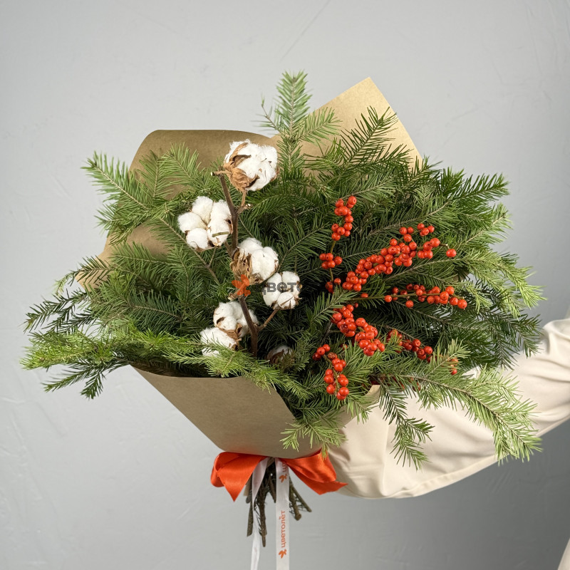 Новогодние Эмоции