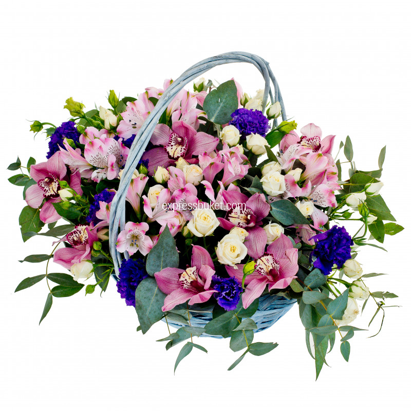 Цветущий луг