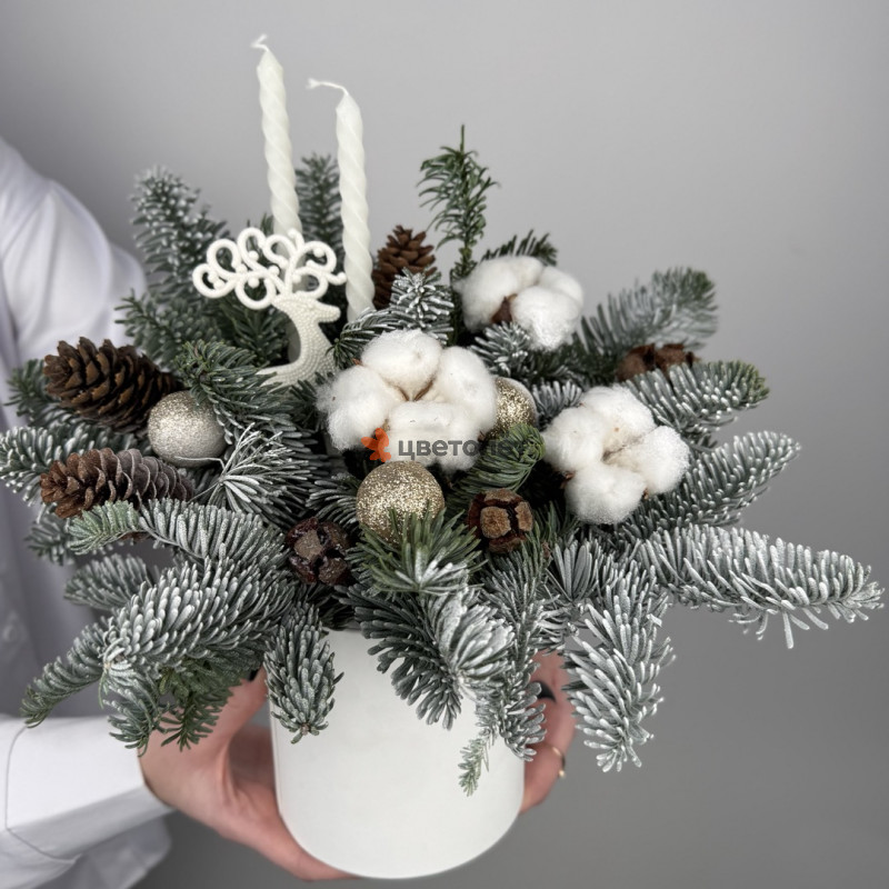 Ледяной вихрь