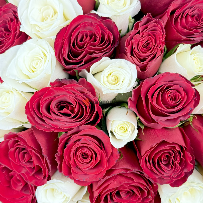 Фирменный букет из 101 розы