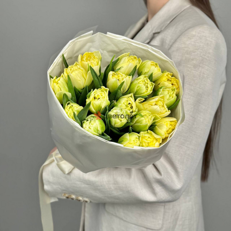 Лимонные пионовидные тюльпаны, 19 шт